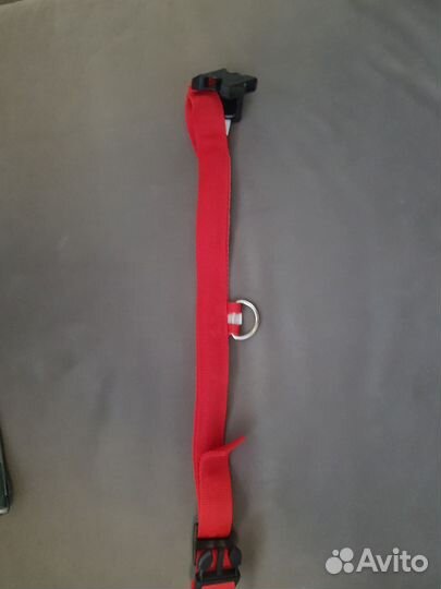 Светящийся ошейник