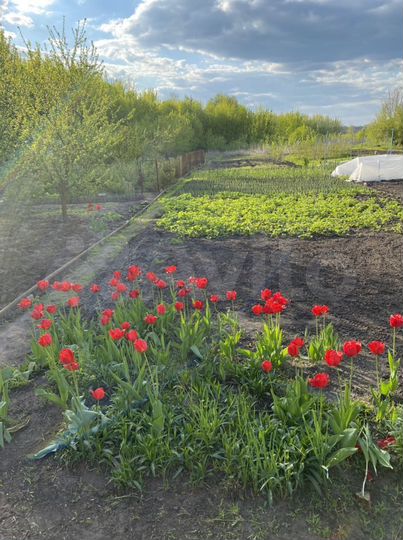 Дача 10 м² на участке 6 сот.