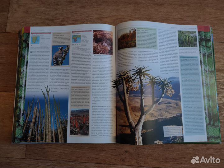 Потрясающей красоты энциклопедиия о растениях