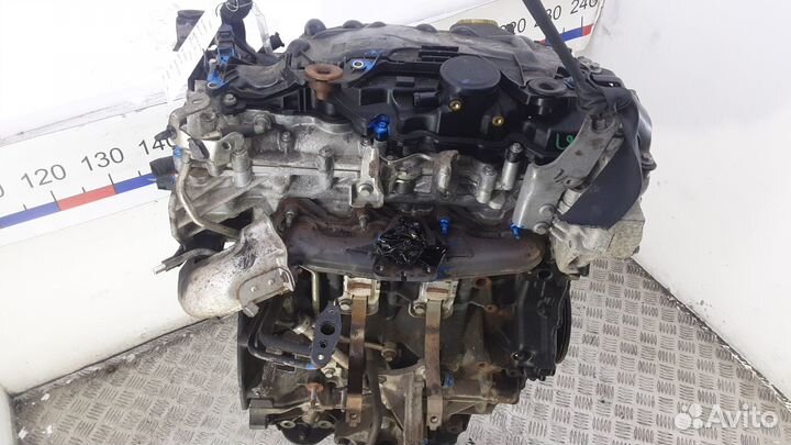 Двигатель Renault Laguna M9R 814