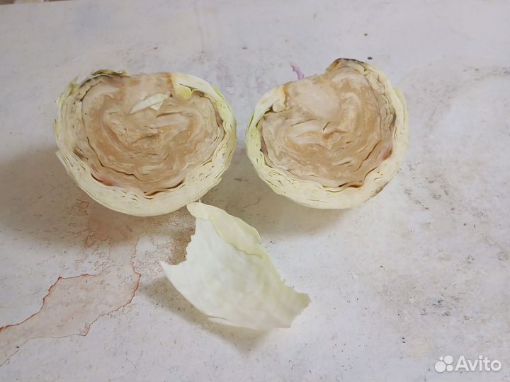 Пищевые отходы для животных