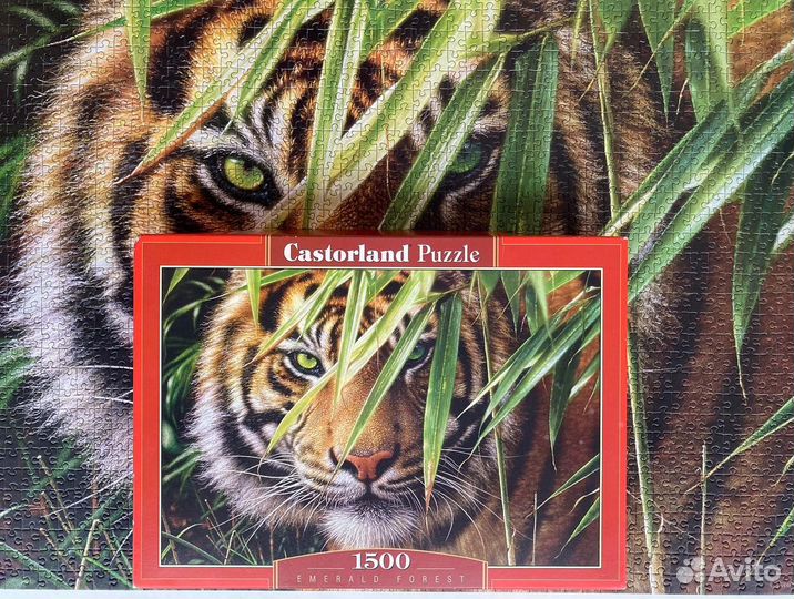 Пазл Castorland 1500 деталей тигр