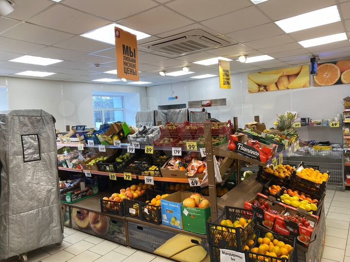 Помещение с арендаторами, 790.9 м²