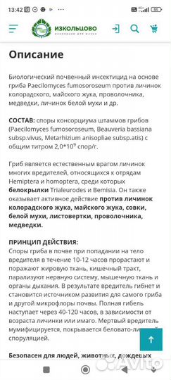 Кордицепс