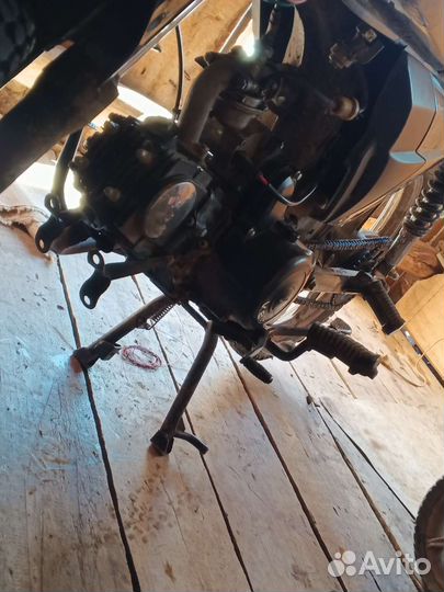 Продам альфу