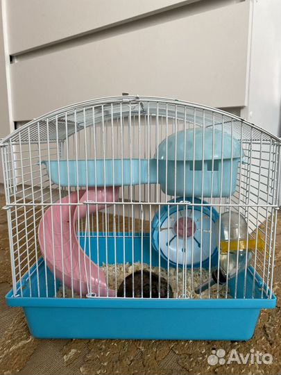 Хомяк с клеткой