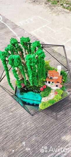 Флорариум моссариум подарок