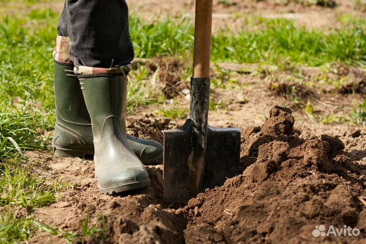 Уборка дачных участков выкорчевка деревьев