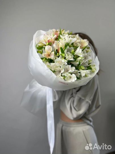 Альстромерия