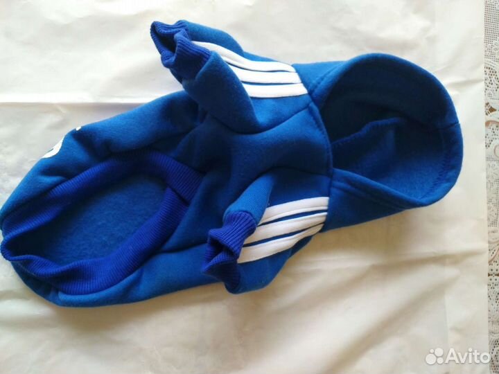 Одежда для собак