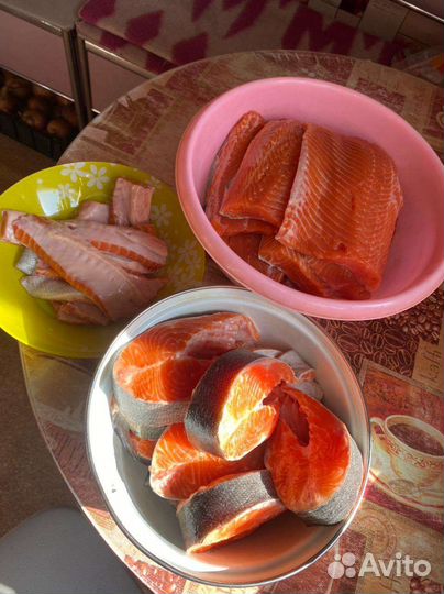 Форель из Карелии