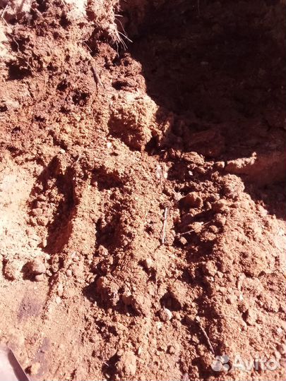 Конский перегной и навоз