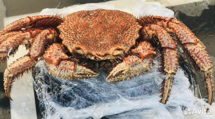 Клешни краба