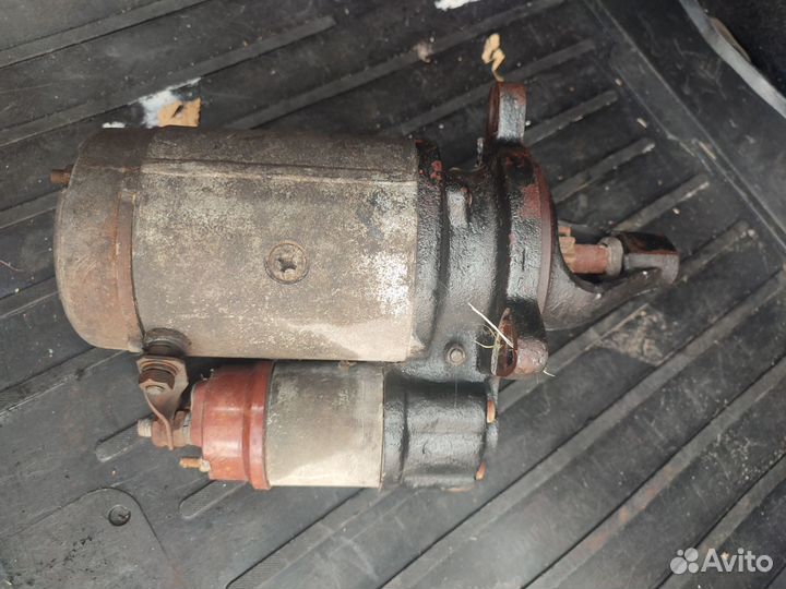 Маз зубрёнок