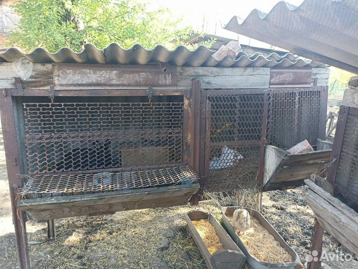 Клетка для кролика большая