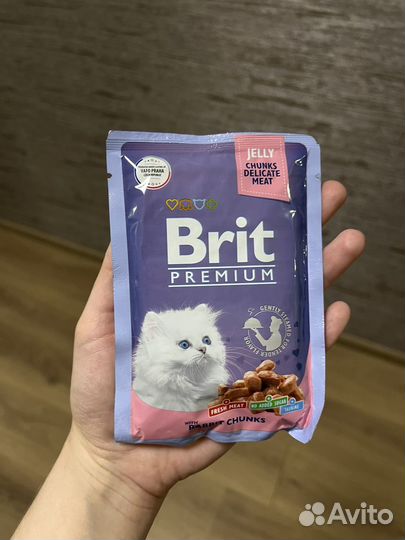 Корм для котов Brit