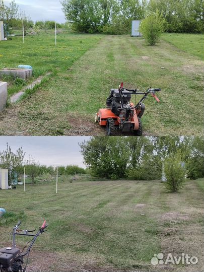 Спил деревьев / альпинист / покос травы