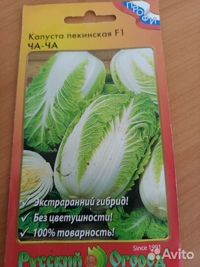 Рассада капусты пекинская, цветная