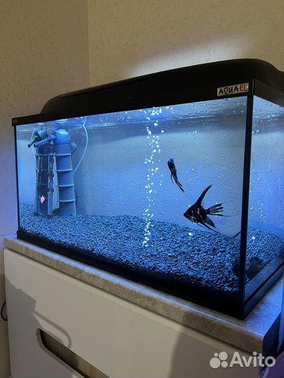 Аквариум