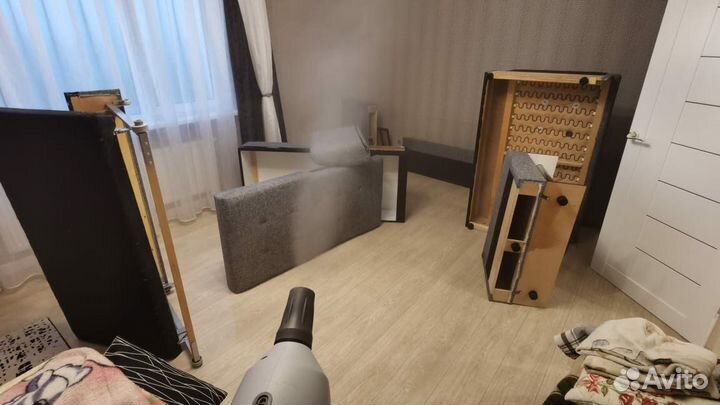 Дезинфекция. Травить Тараканов, Уничтожение клопов