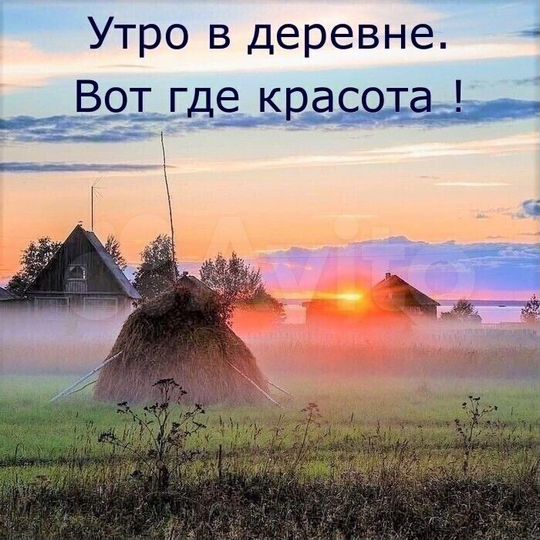 Дом 61 м² на участке 11 сот.