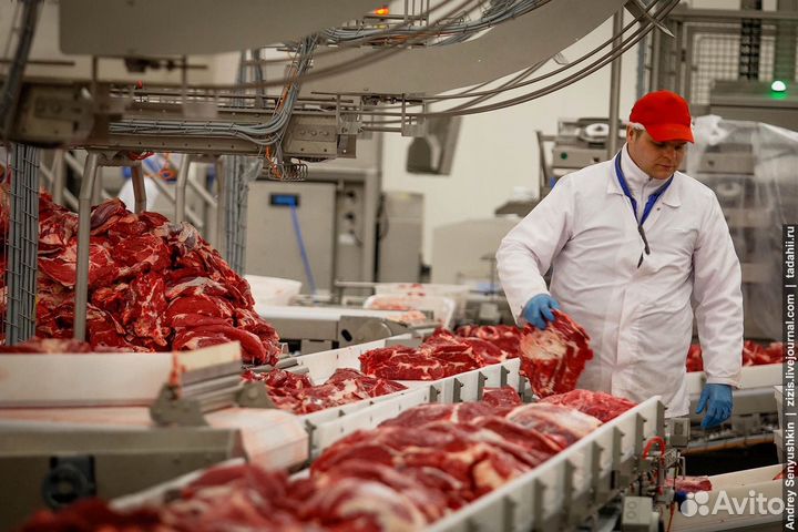 Разнорабочие на мясокомбинат (вахта) Воронеж