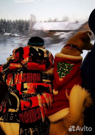 Зимняя одежда для собаки среднего размера
