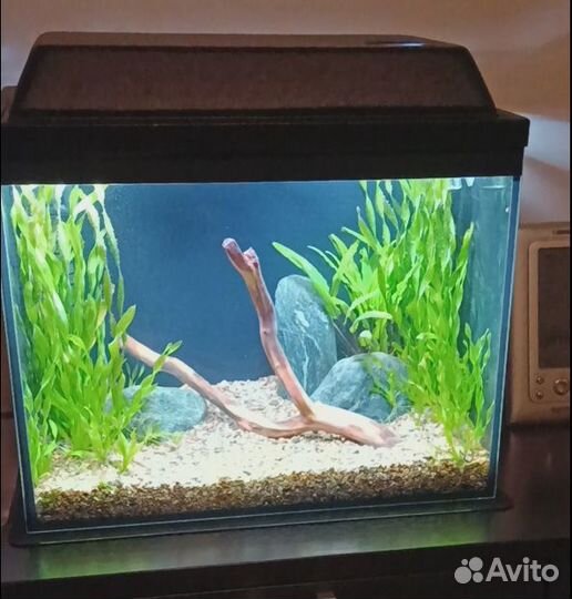 Аквариум 35 литров