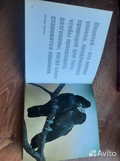 Книги бесплатно