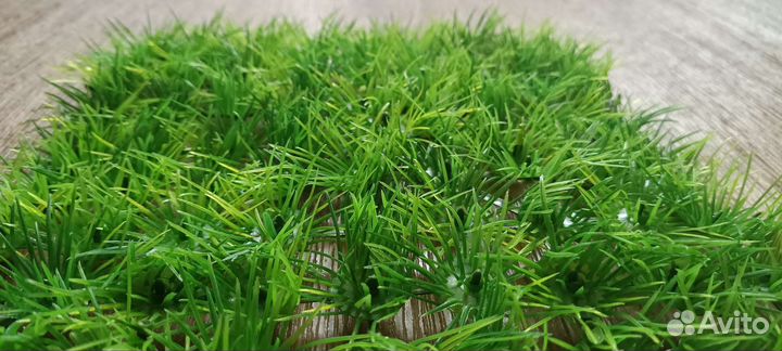 Декорации для аквариума