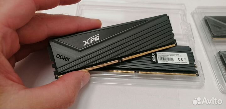 Оперативная память Adata 32GB DDR5 5600 Mhz