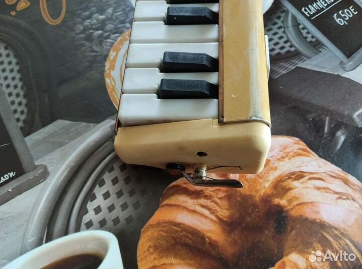 Пионика мелодия-3