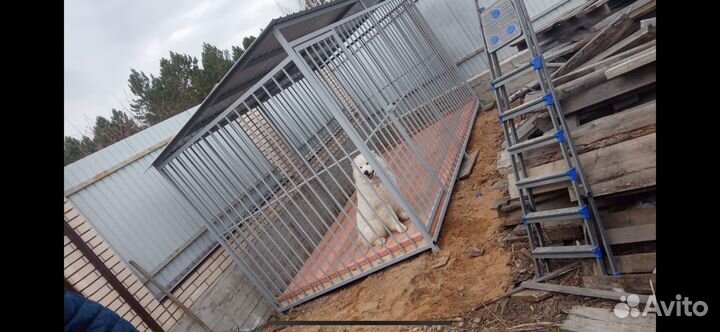 Вольер для собак