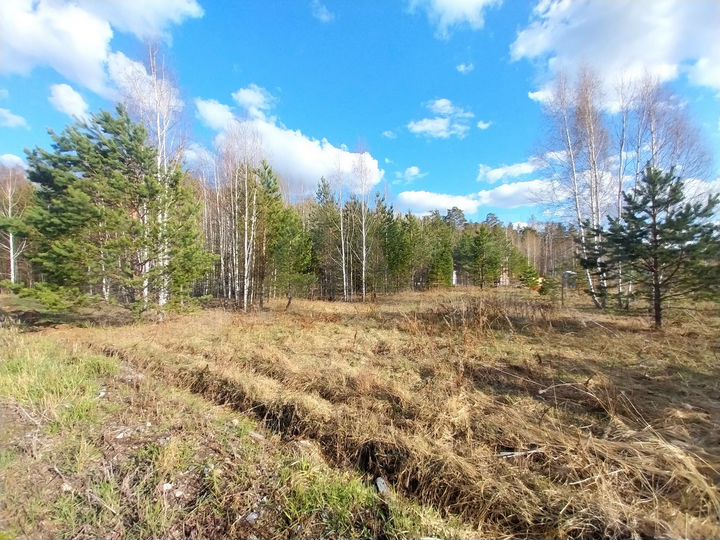 Участок 8 сот. (СНТ, ДНП)