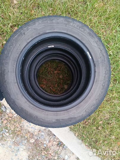 Dunlop SP Winter Maxx WM01 185/65 R15