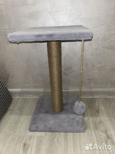 Когтеточка для кошек