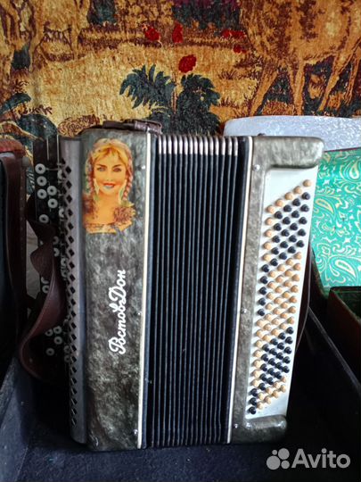 Гармонь любительская