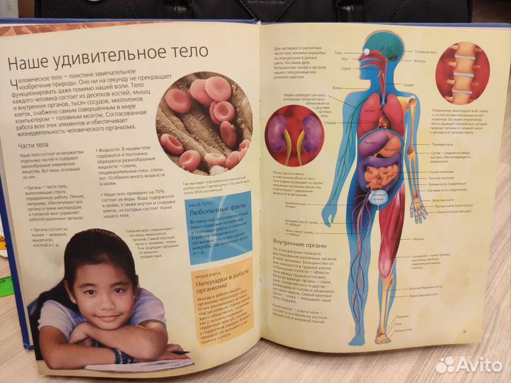 Человек. Энциклопедия