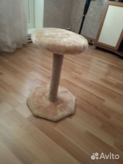 Когтеточка