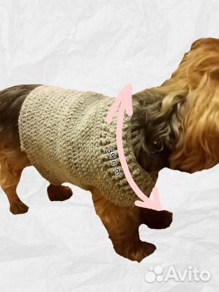 Одежда для собак