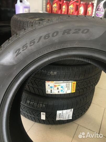 Pirelli Scorpion Winter 255/60 R20 113V
