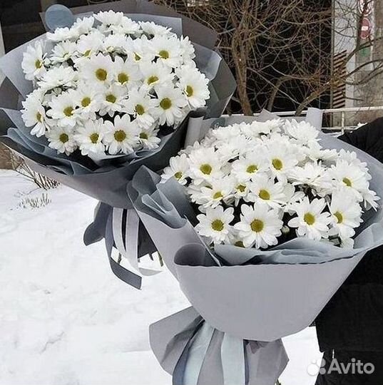 Доставка букетов и цветов. Хризантема