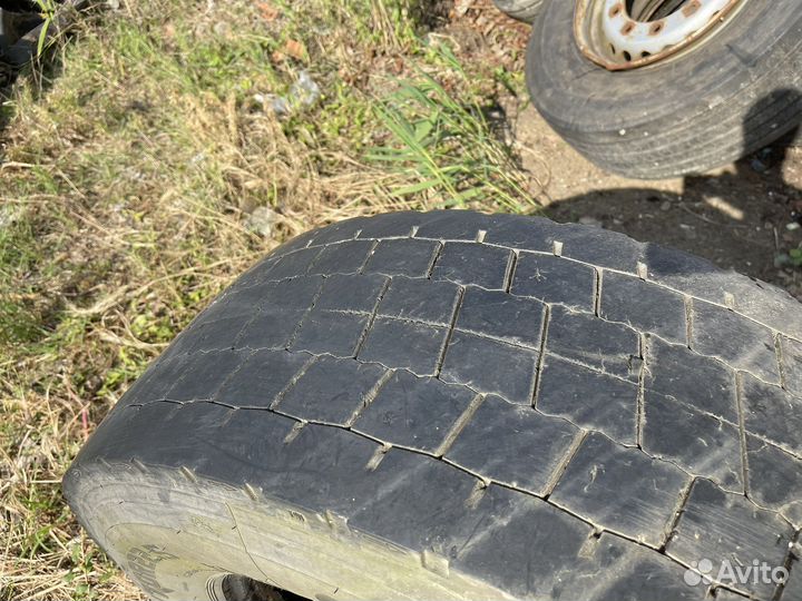 Шины 315/70R 22.5 blacklion