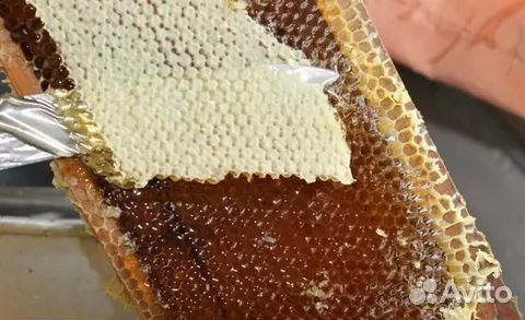 Мед разнотравье