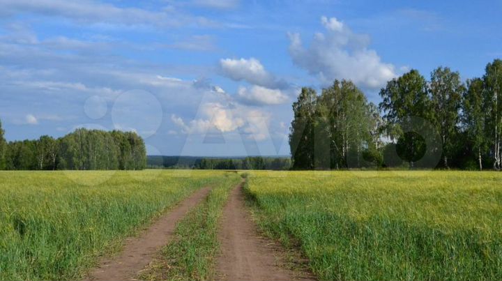 Участок 11 га (СНТ, ДНП)