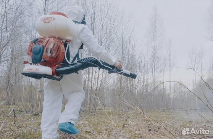 Уничтожение клопов тараканов грызунов блох клещей