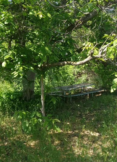 Дача 35 м² на участке 10 сот.