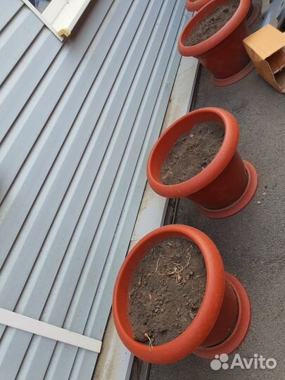 Горшки для цветов