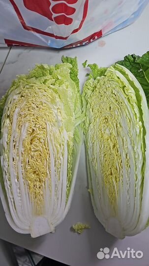 Пекинская капуста оптом