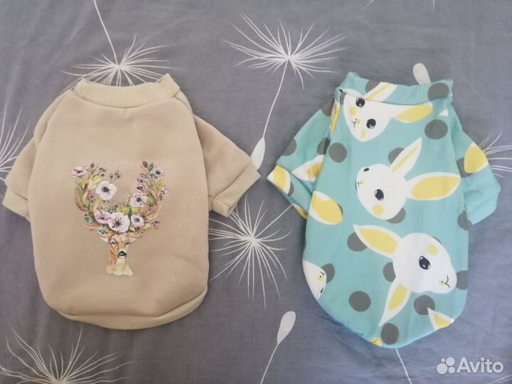 Одежда для маленьких собак